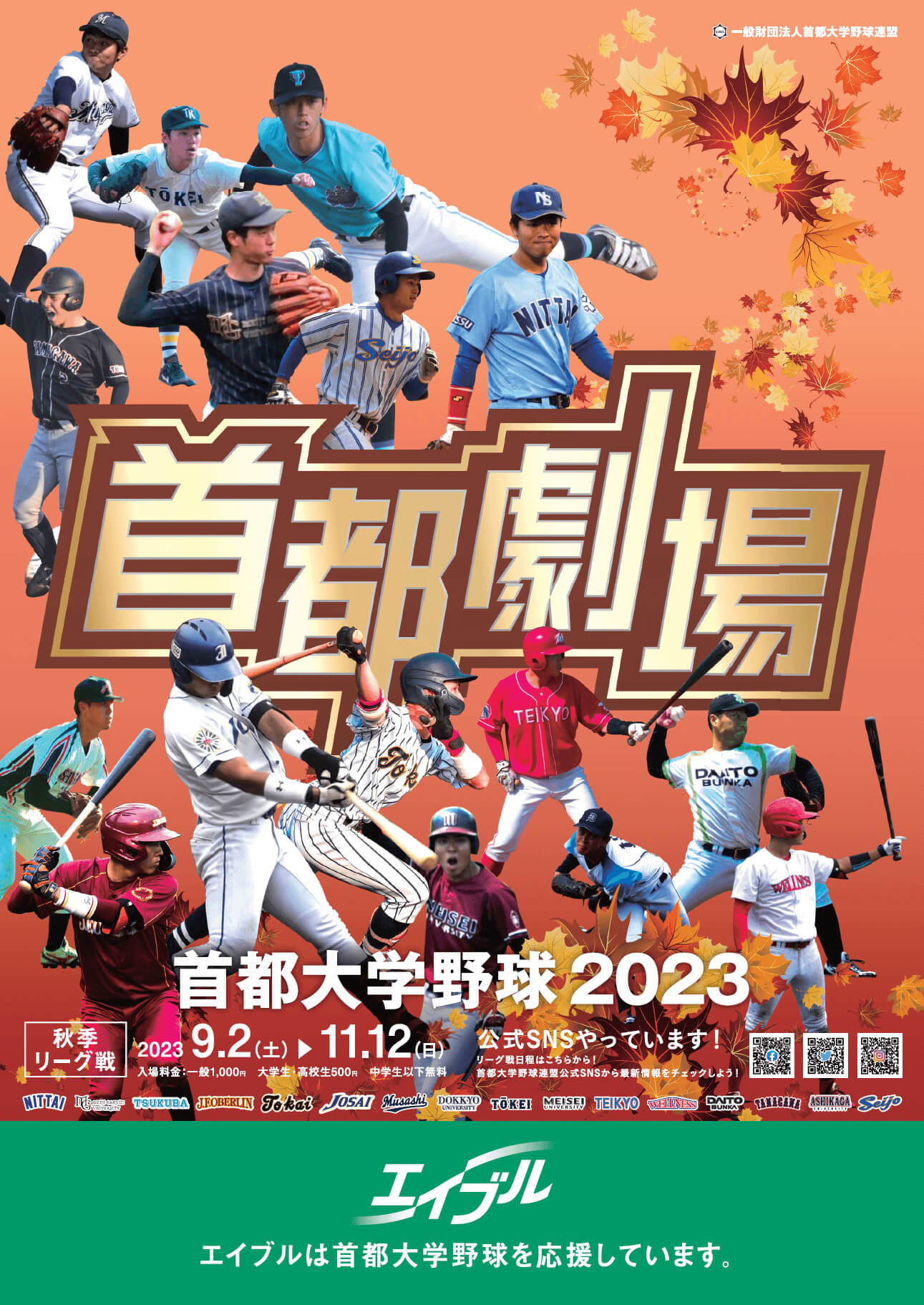 大学スポーツ　首都大学野球